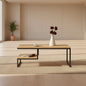 steel and MDF wood center coffee table 100×60×45 - AA15