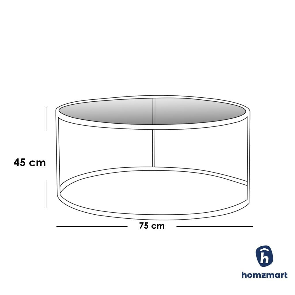 stainless steel and glass center coffee table 75×45 - AA69