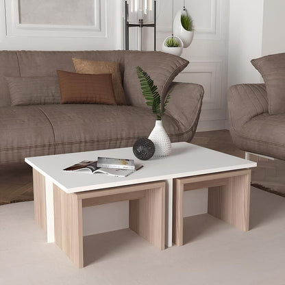 Table Unit White & Wooden - 100 x 60 x 45 cm - WCT3